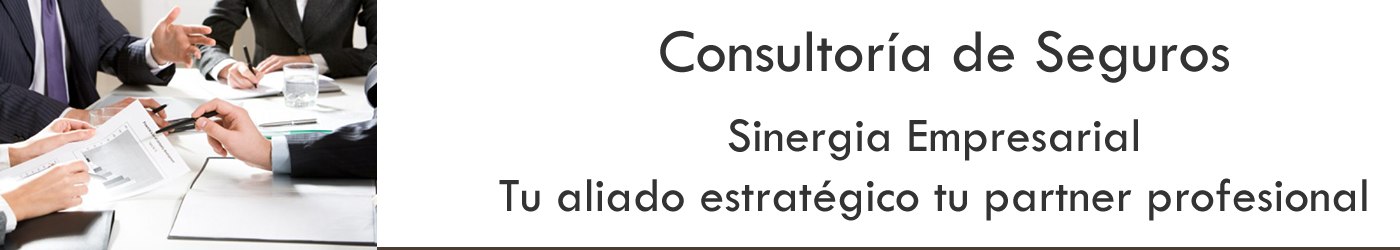 Consultoría de Seguros-Sinergia-Empresarial-Tu-Aliado-Estratégico-Tu-Partner-Profesional- Barcelona